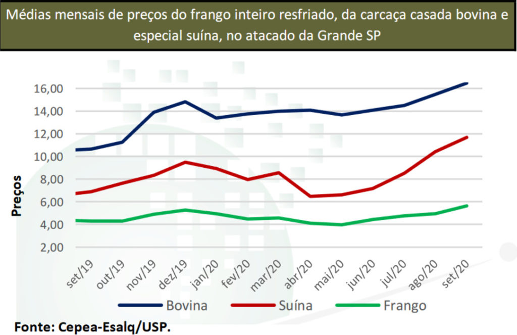 Perspectivas de baixa para um ano de recordes nos preços carne suína -  Artigos - 3tres3, A página do suíno